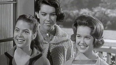 The Donna Reed Show Season 5 Episode 25