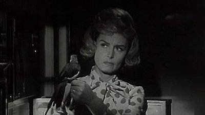 The Donna Reed Show Season 5 Episode 7