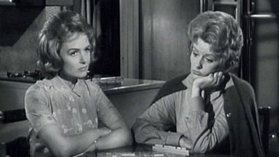 The Donna Reed Show Season 5 Episode 29