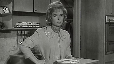 The Donna Reed Show Season 5 Episode 23