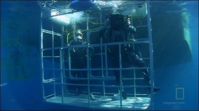 Expedition Great White Season 1 Episode 7