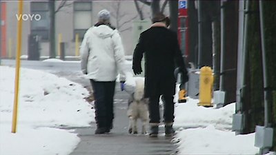 Storage Wars: Northern Treasures Season 1 Episode 35