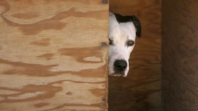 Need to Know Season 1 Episode 37