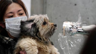 Need to Know Season 1 Episode 45