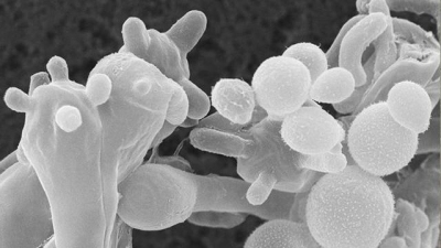 Need to Know Season 1 Episode 54