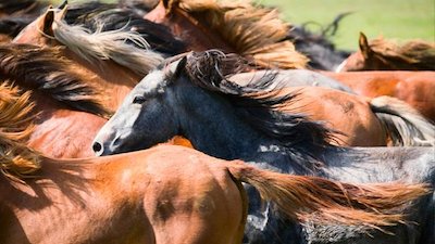 Need to Know Season 1 Episode 68