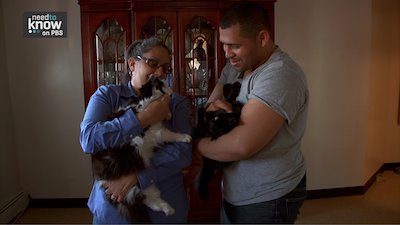 Need to Know Season 2 Episode 46