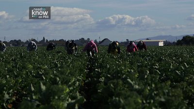 Need to Know Season 3 Episode 9