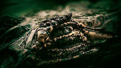 Expedition Mungo: The Crew Files Season 1 Episode 1