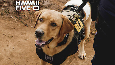 Hawaii Five-0 Season 8 Episode 2