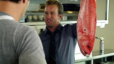 Hawaii Five-0 Season 1 Episode 20