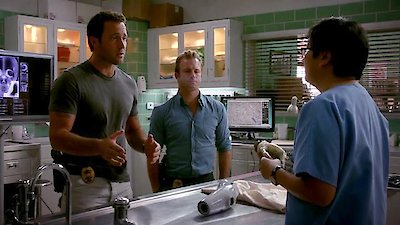 Hawaii Five-0 Season 3 Episode 15