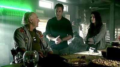 Hawaii Five-0 Season 3 Episode 20