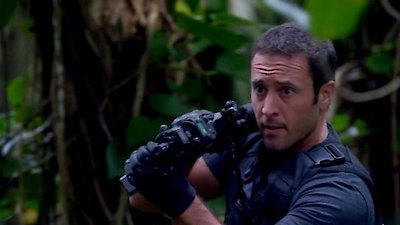 Hawaii Five-0 Season 4 Episode 12