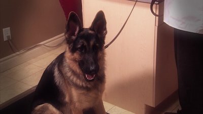 The Prime Radicals Season 2 Episode 6