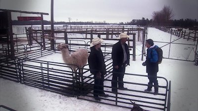 The Prime Radicals Season 2 Episode 11