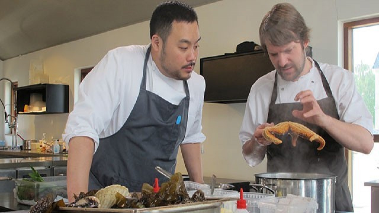 The Best of the Mind of a Chef