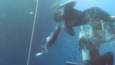 The Challenge Season 12 Episode 14