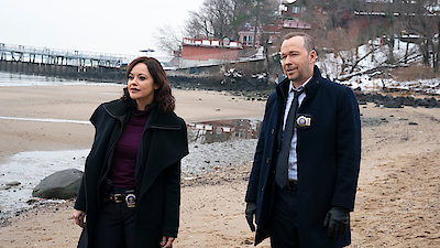 Blue Bloods Season 11 Episode 8