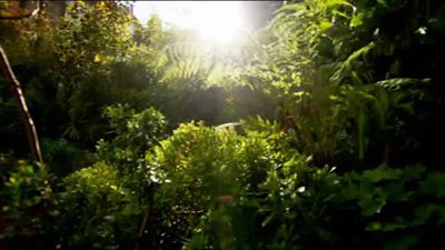 Love Your Garden Season 1 Episode 8