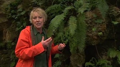 Gardeners' World Season 1 Episode 10