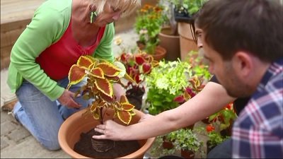 Gardeners' World Season 1 Episode 17