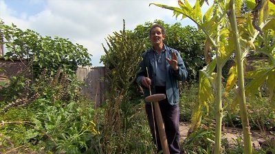 Gardeners' World Season 50 Episode 24