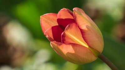 Gardeners' World Season 51 Episode 8