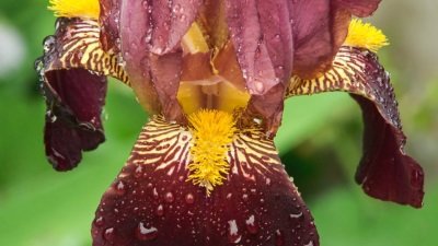 Gardeners' World Season 51 Episode 15