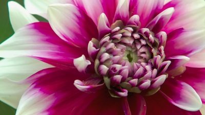 Gardeners' World Season 51 Episode 24