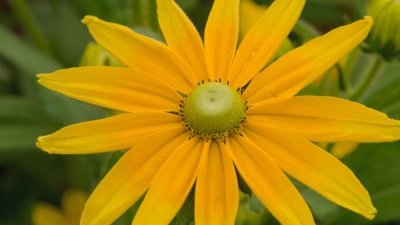 Gardeners' World Season 51 Episode 28