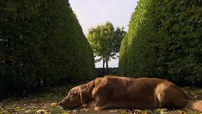 Gardeners' World Season 51 Episode 30