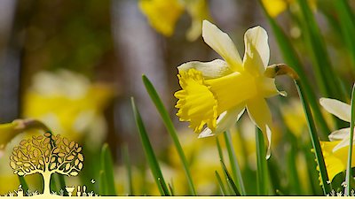 Gardeners' World Season 53 Episode 3