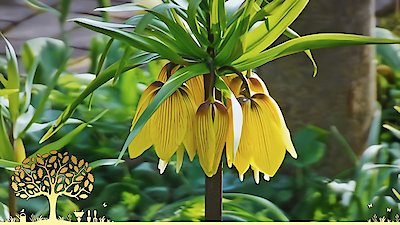 Gardeners' World Season 53 Episode 5