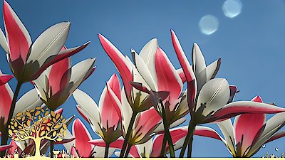 Gardeners' World Season 53 Episode 7