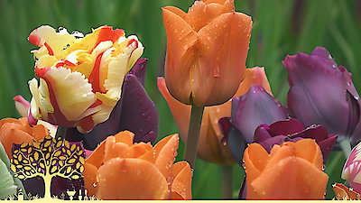 Gardeners' World Season 53 Episode 8