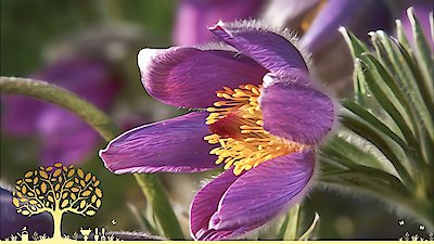 Gardeners' World Season 53 Episode 9