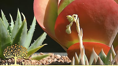 Gardeners' World Season 53 Episode 13