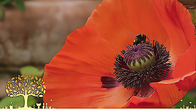 Gardeners' World Season 53 Episode 14