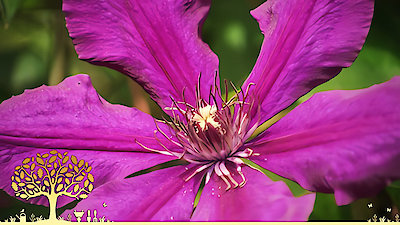 Gardeners' World Season 53 Episode 16