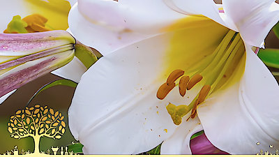 Gardeners' World Season 53 Episode 17