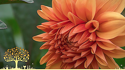 Gardeners' World Season 53 Episode 20