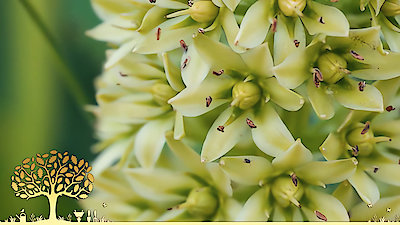 Gardeners' World Season 53 Episode 23