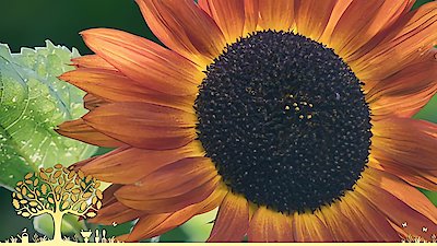 Gardeners' World Season 53 Episode 27