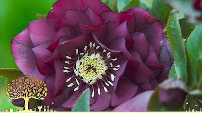 Gardeners' World Season 54 Episode 2