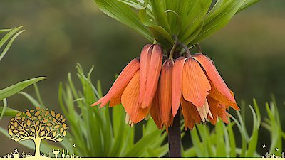 Gardeners' World Season 55 Episode 5