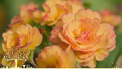 Gardeners' World Season 55 Episode 9