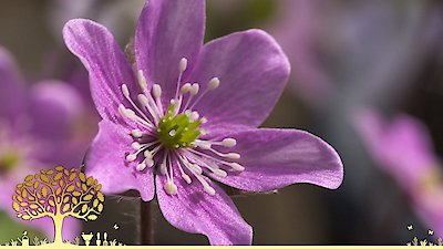 Gardeners' World Season 55 Episode 6