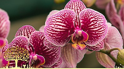 Gardeners' World Season 55 Episode 10