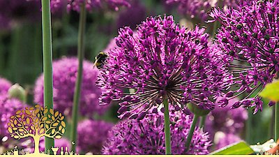 Gardeners' World Season 55 Episode 12